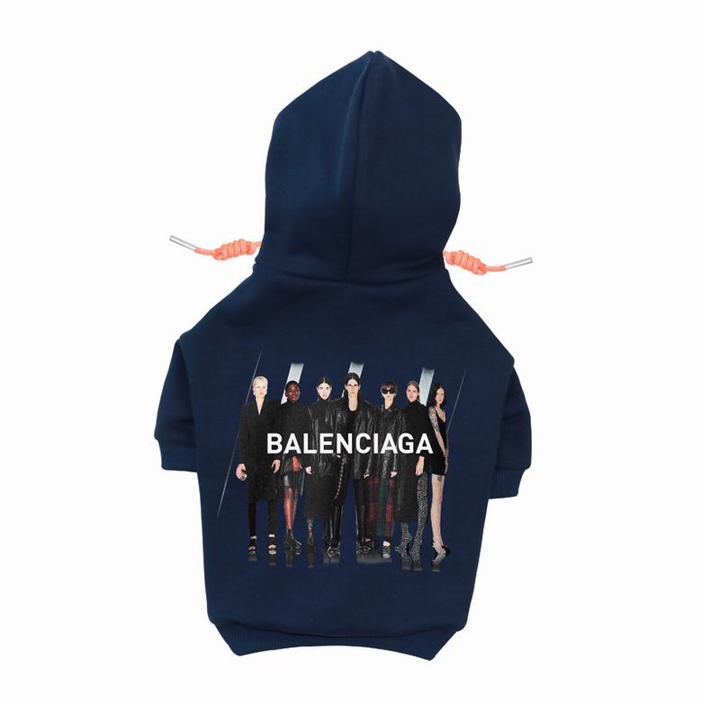 BLC Back Hoodie