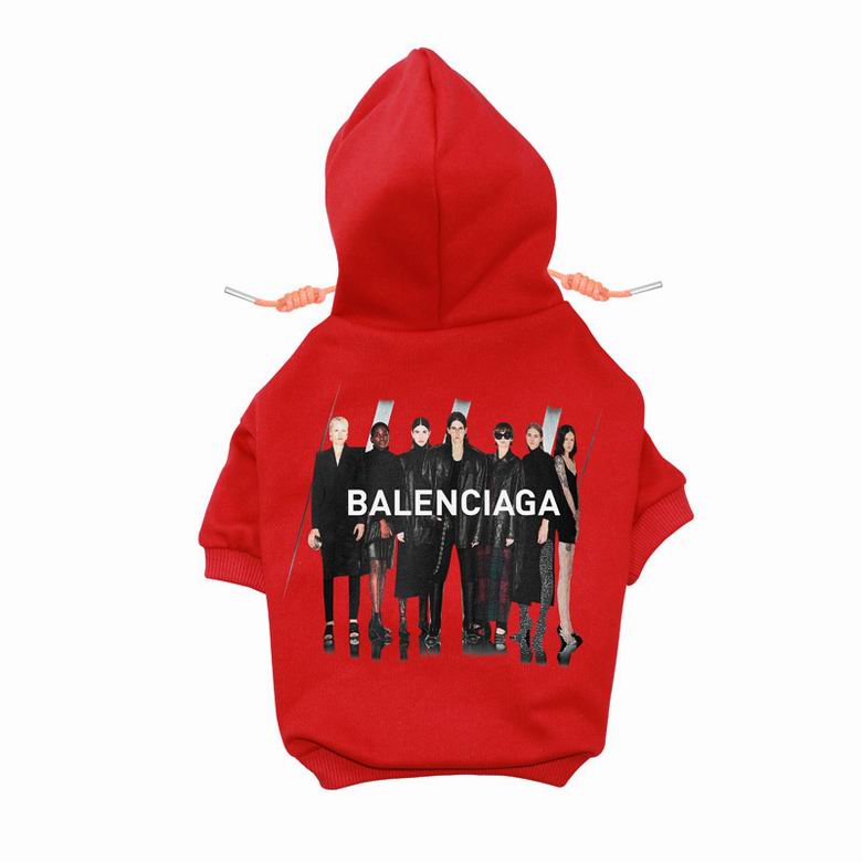 BLC Back Hoodie