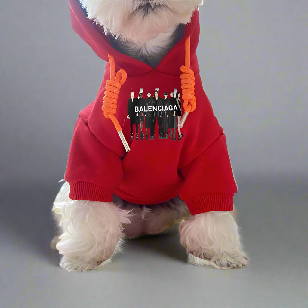 BLC Front Hoodie