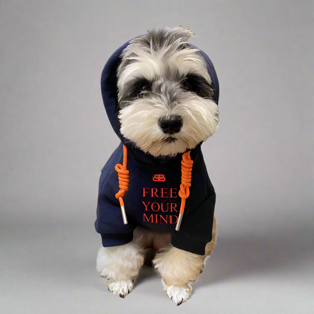 BLC Front Hoodie