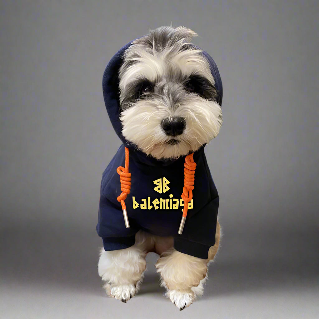 BLC Front Hoodie