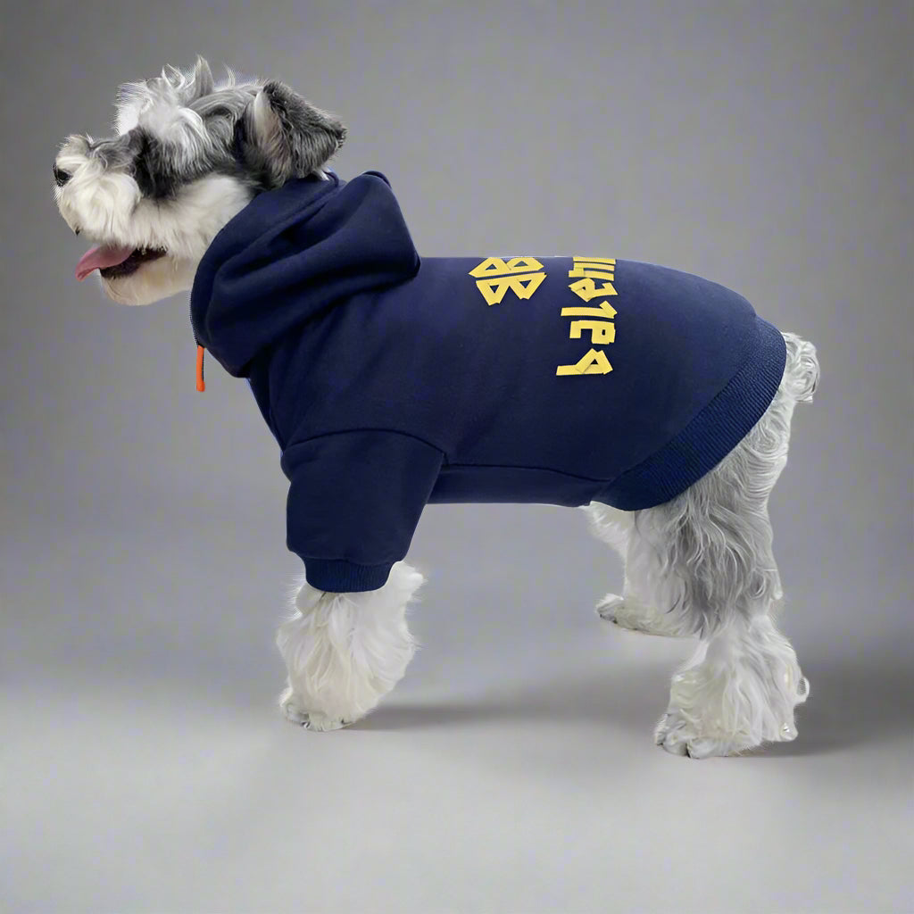BLC Back Hoodie