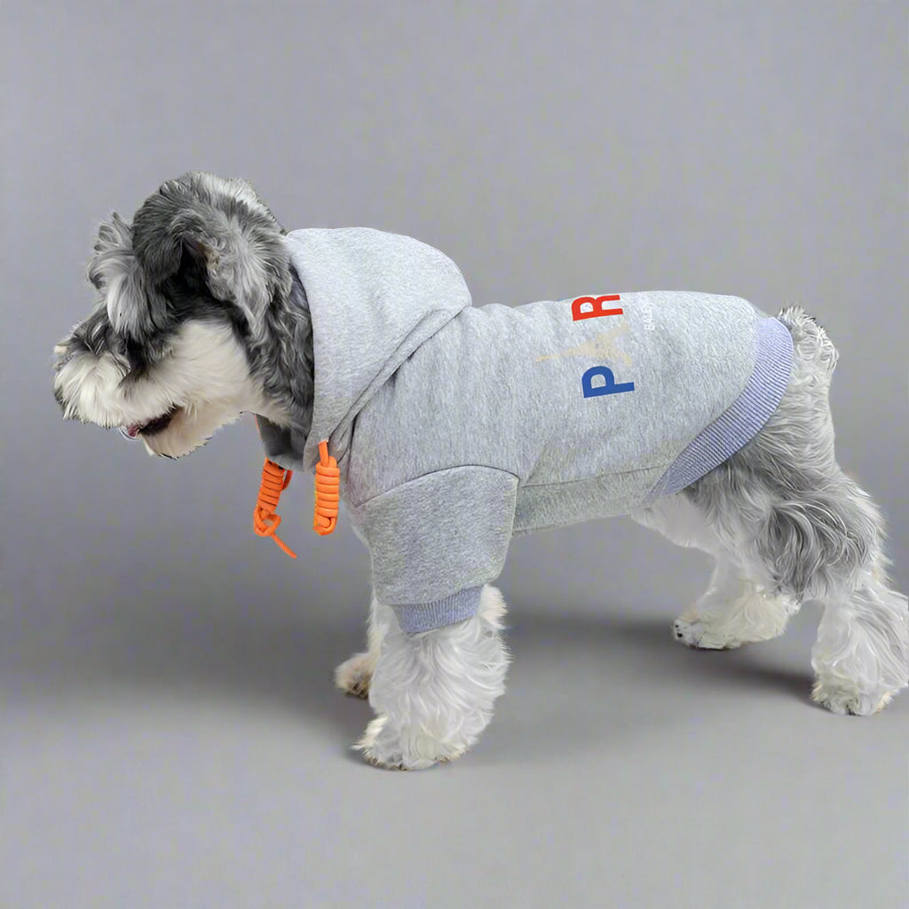BLC Back Hoodie