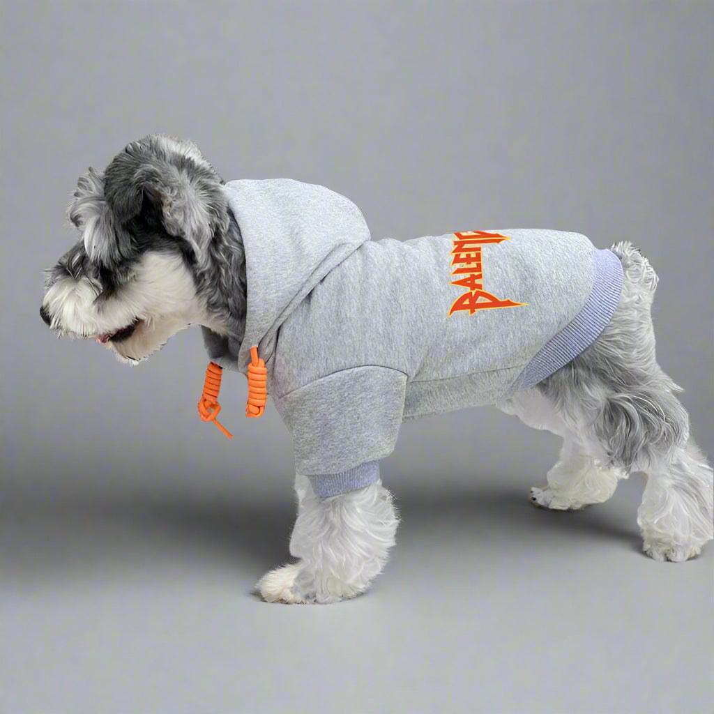BLC Back Hoodie