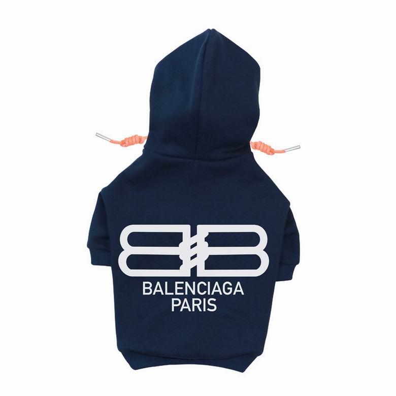 BLC Back Hoodie