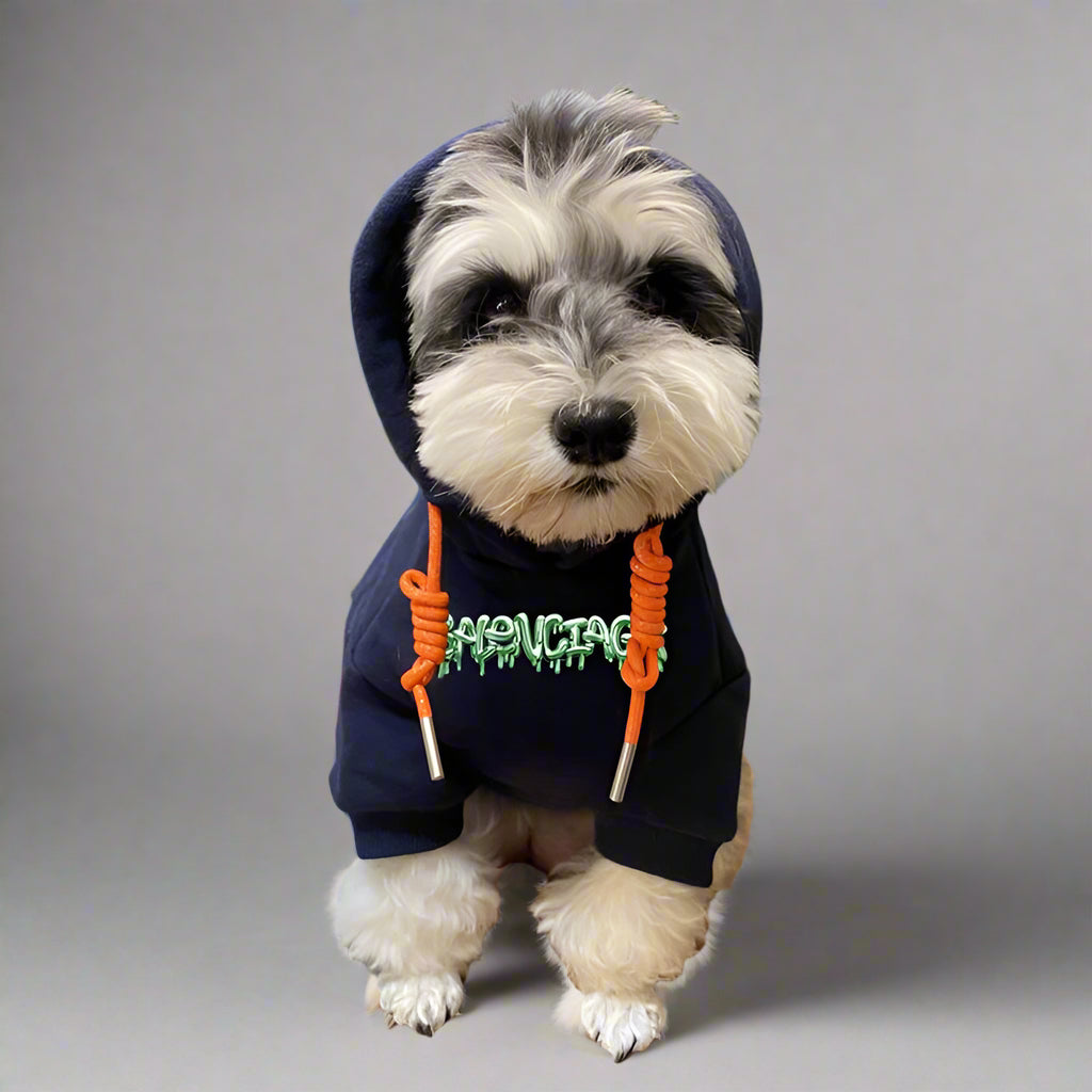 BLC Front Hoodie