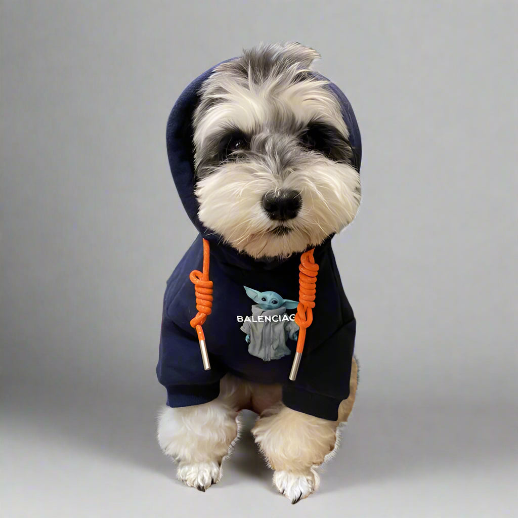 BLC Front Hoodie