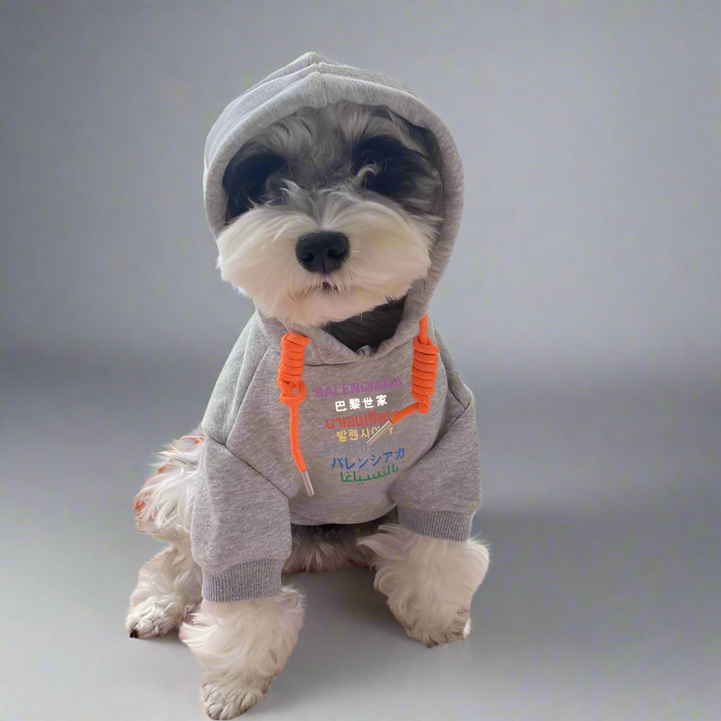 BLC Front Hoodie