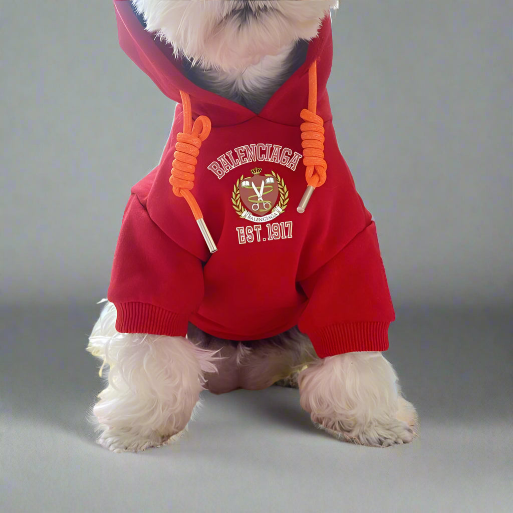 BLC Front Hoodie