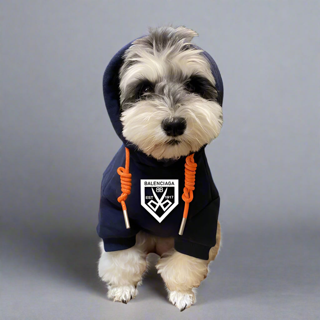 BLC Front Hoodie