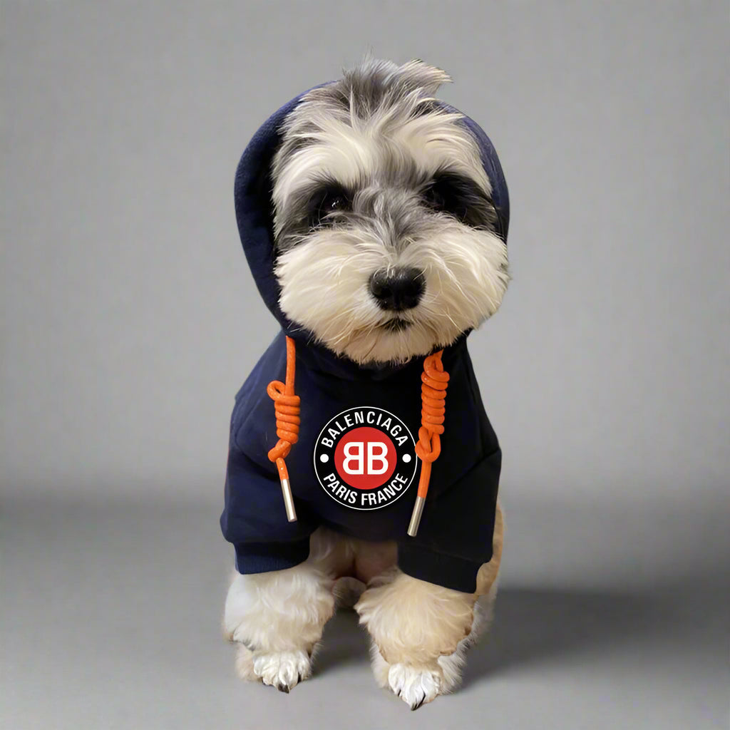 BLC Front Hoodie