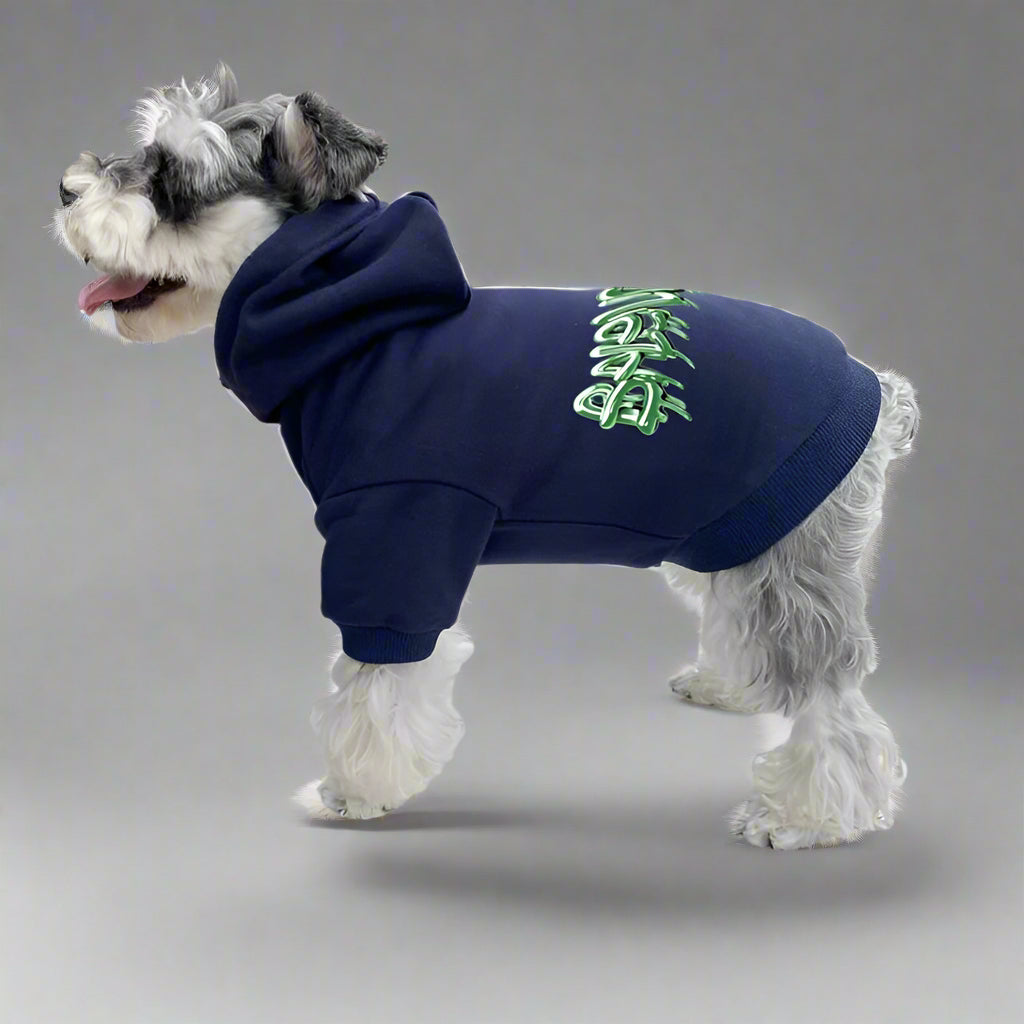 BLC Back Hoodie