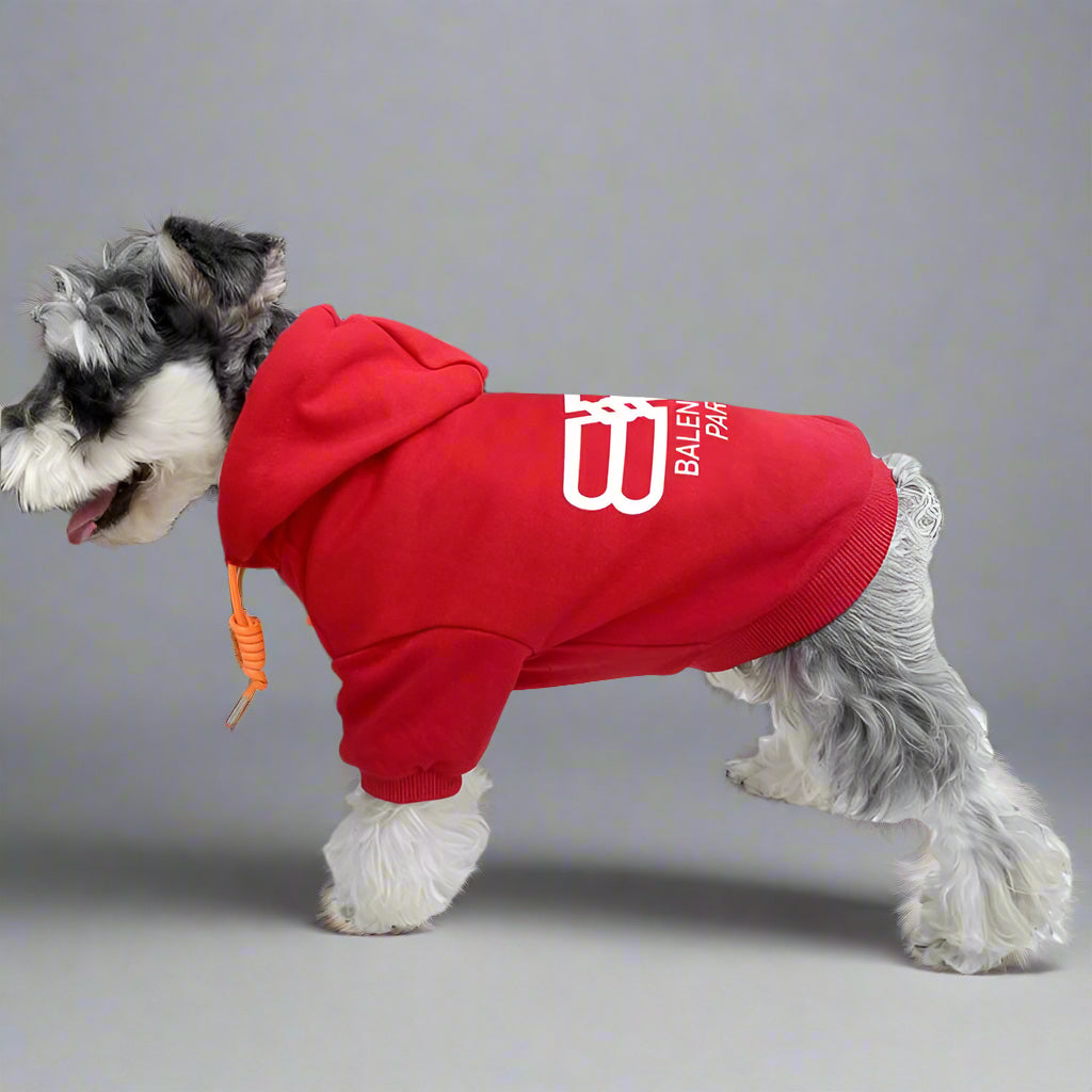 BLC Back Hoodie
