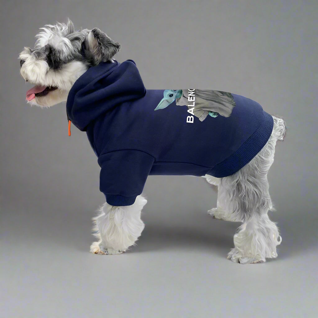 BLC Back Hoodie
