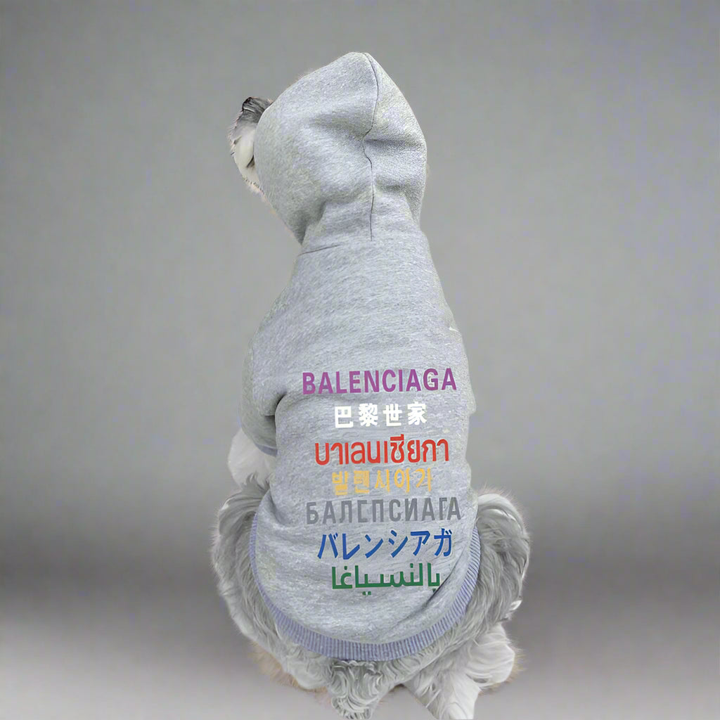 BLC Back Hoodie