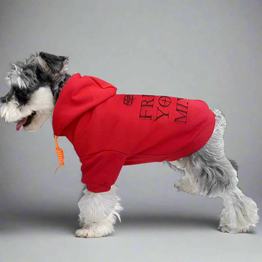 BLC Back Hoodie
