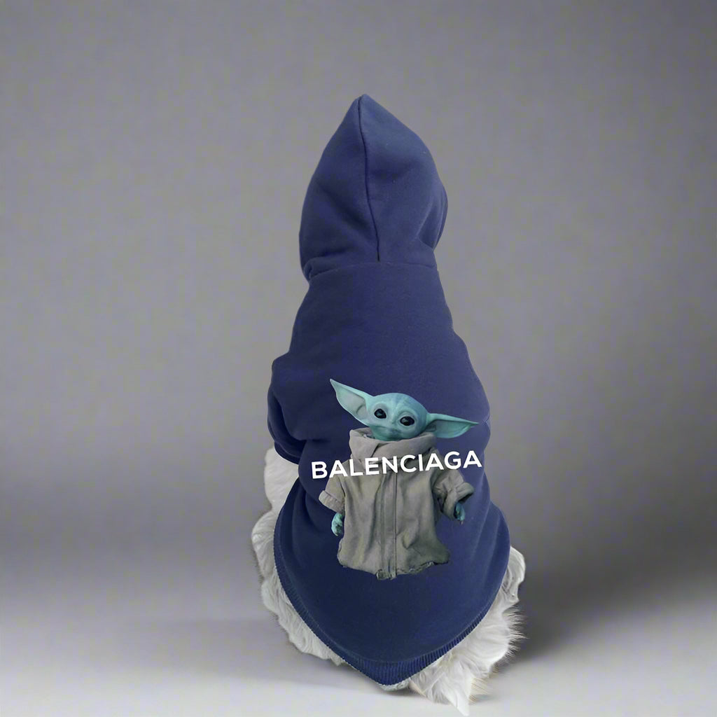 BLC Back Hoodie