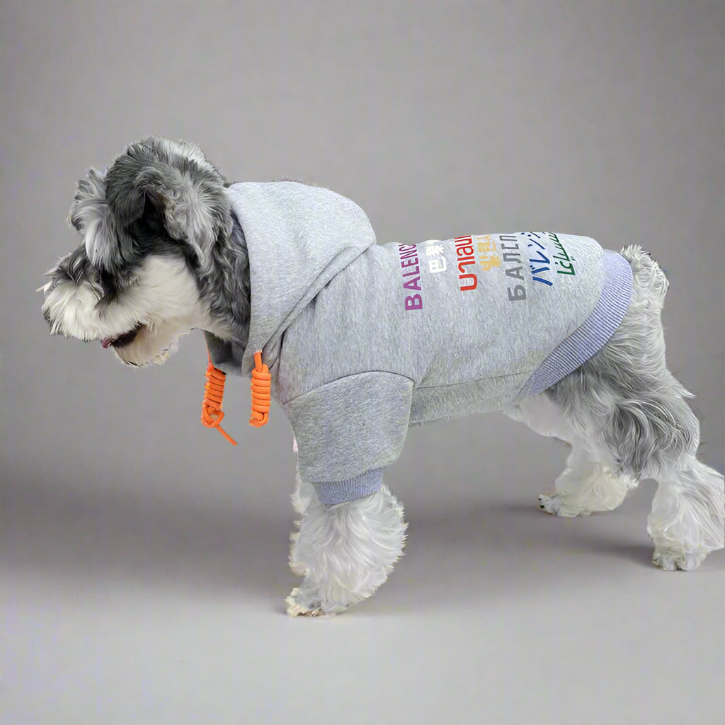 BLC Back Hoodie