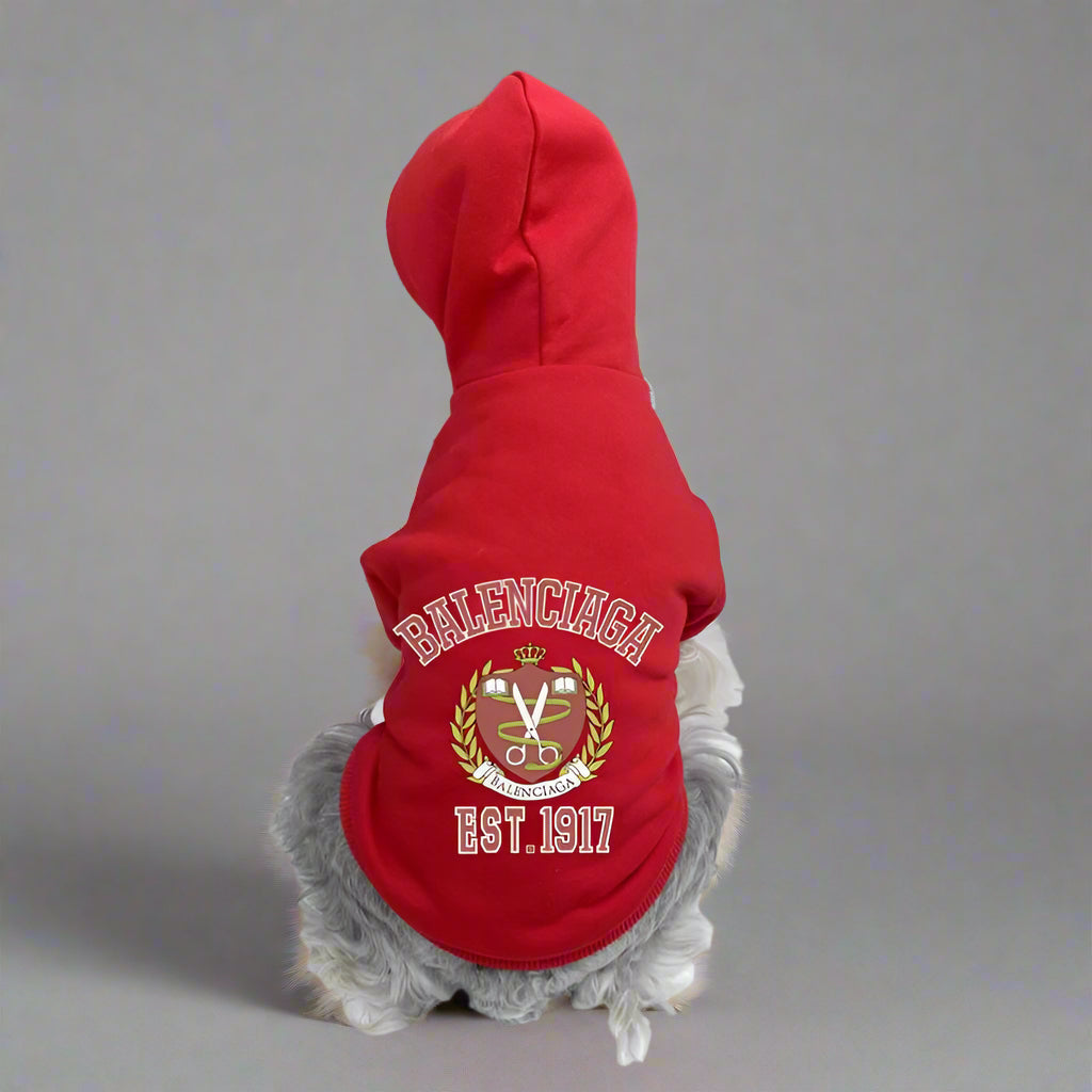 BLC Back Hoodie