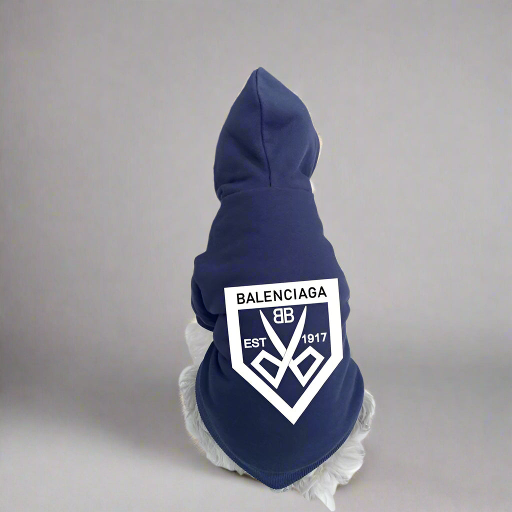BLC Back Hoodie