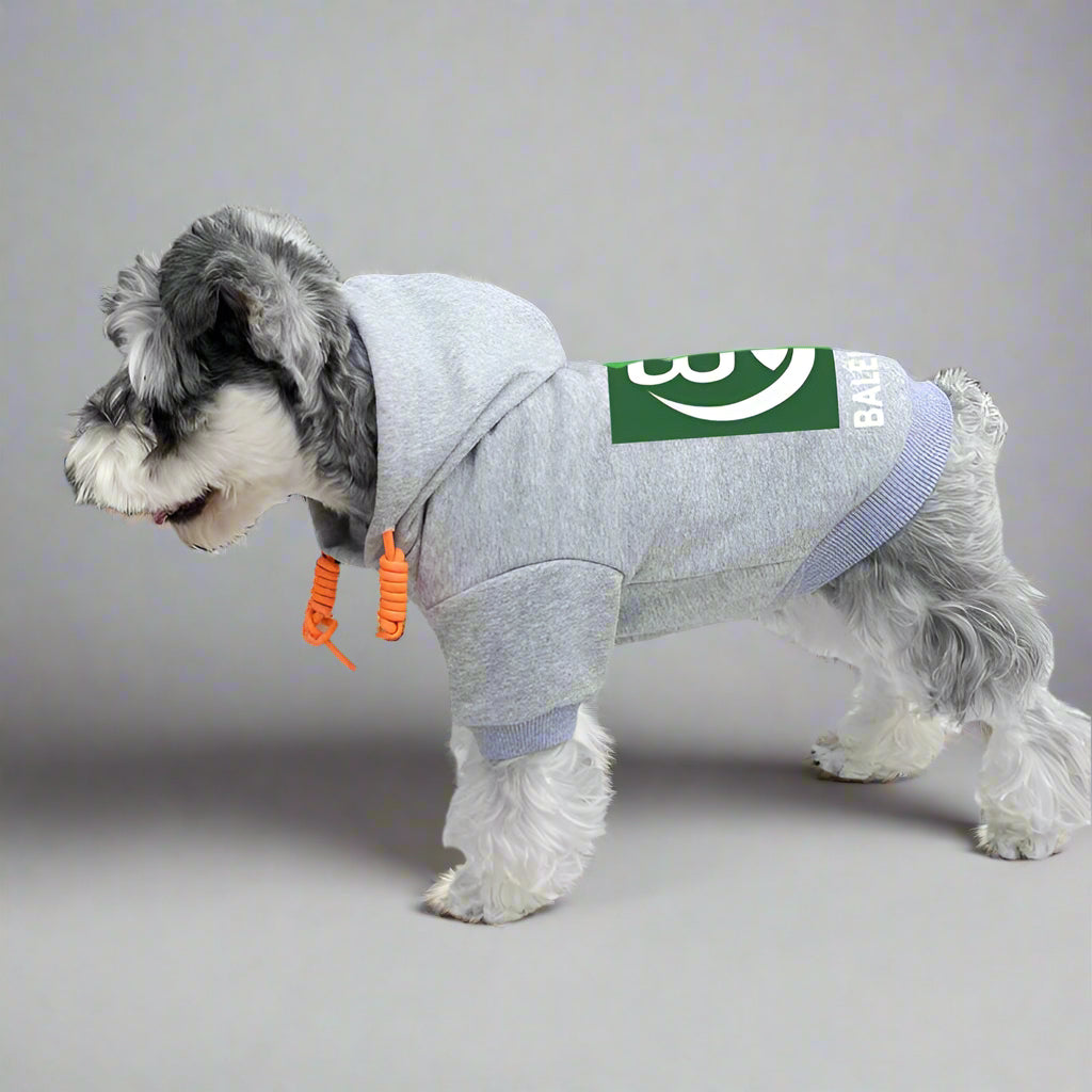 BLC Back Hoodie