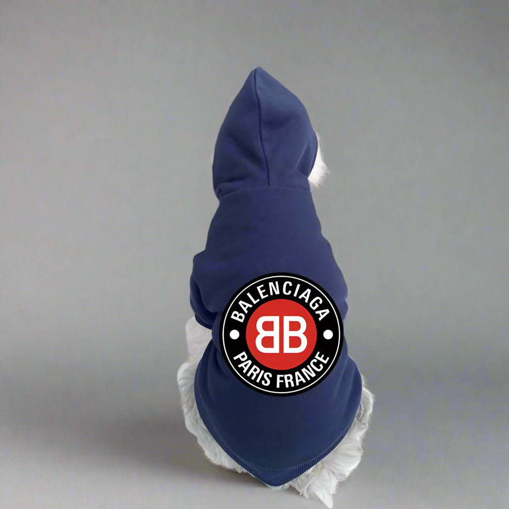 BLC Back Hoodie