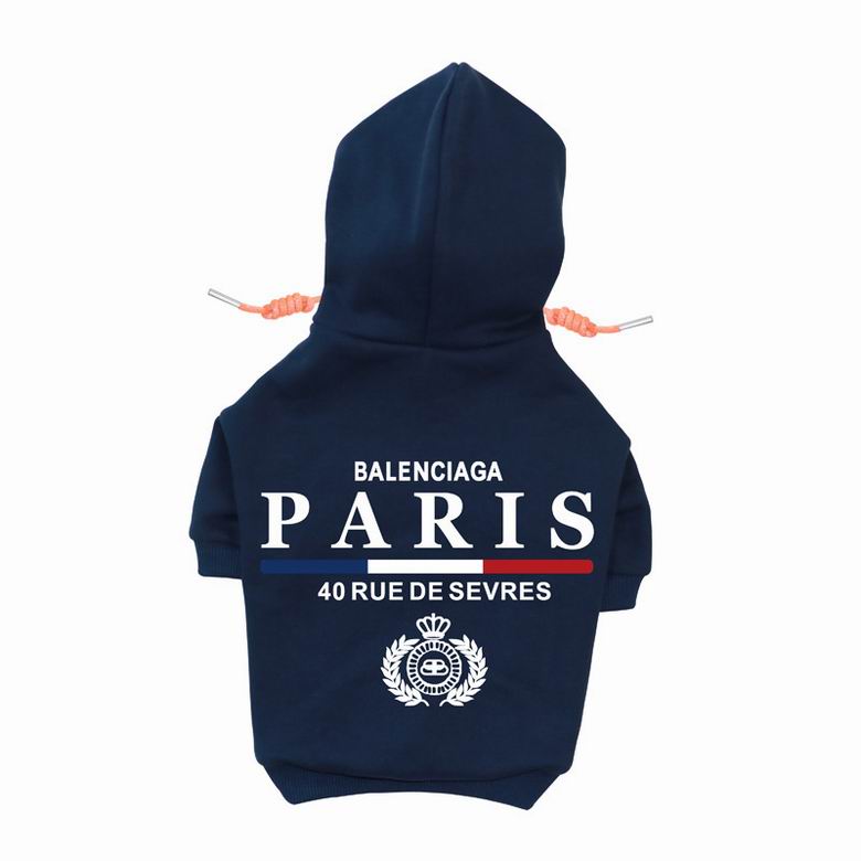 BLC Back Hoodie