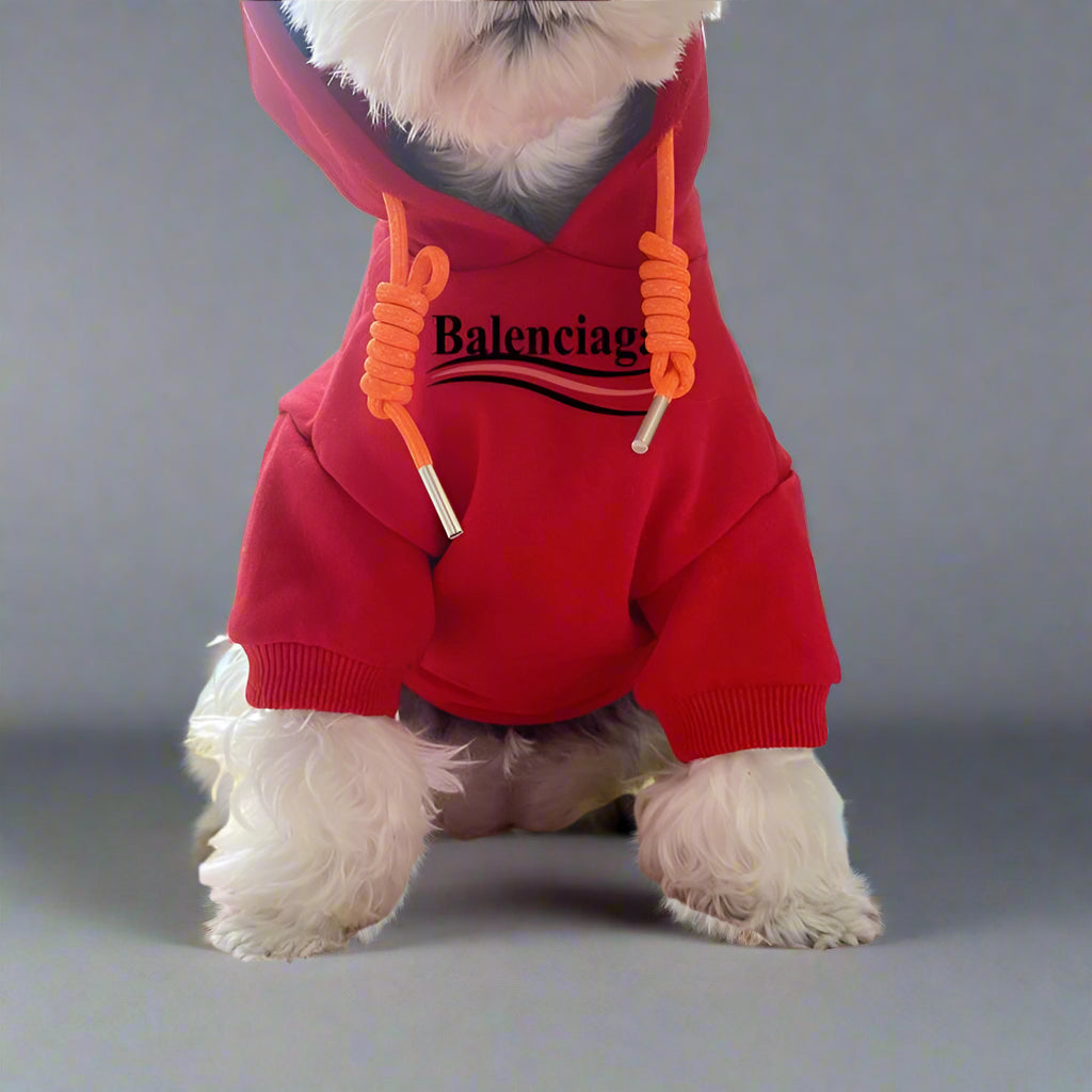 BLC Front Hoodie