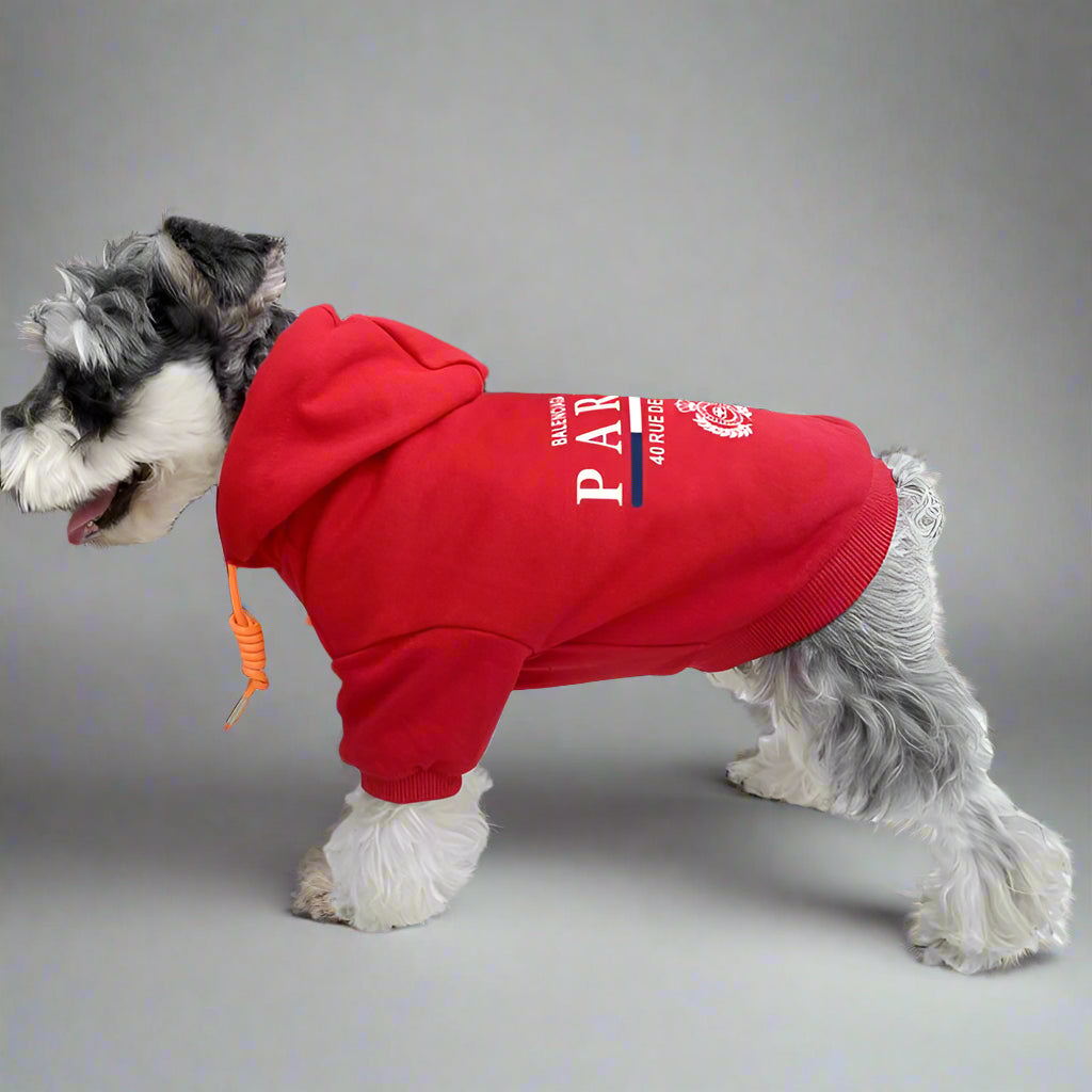BLC Back Hoodie