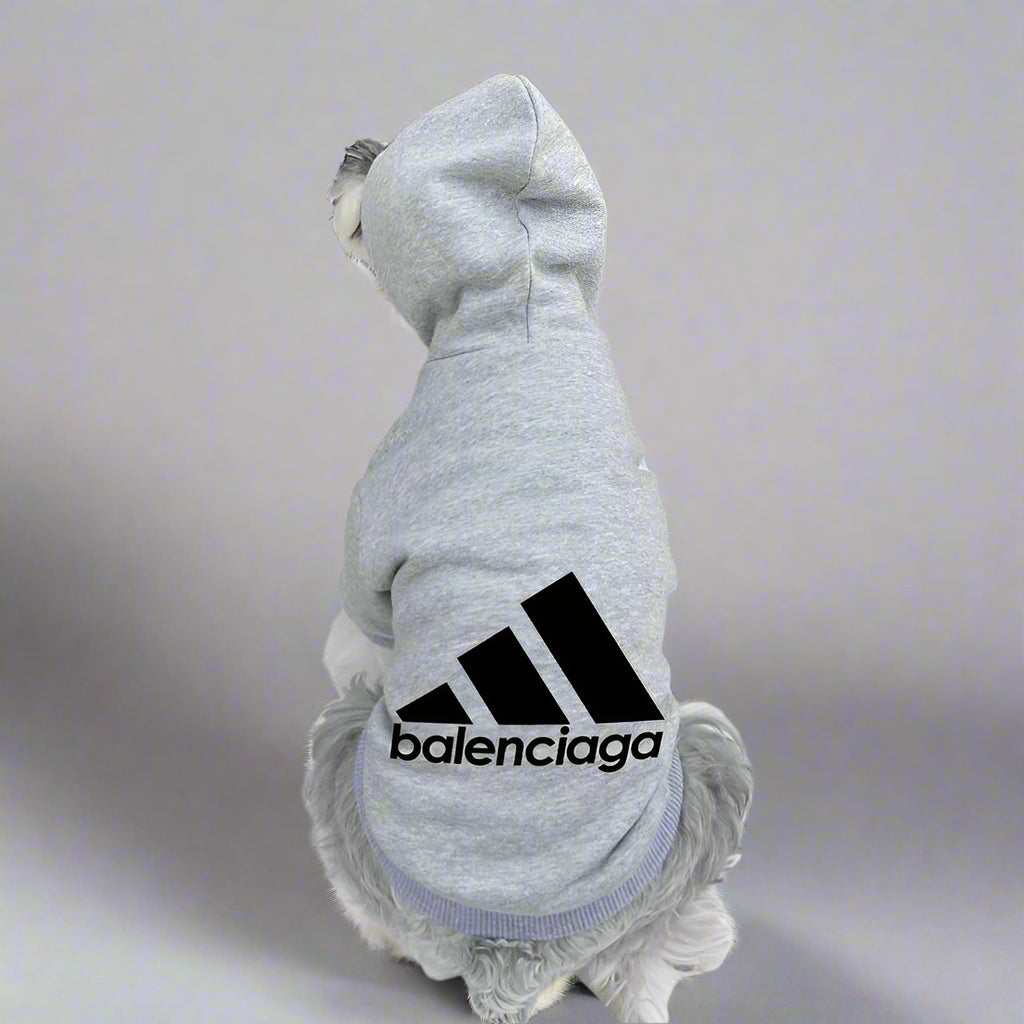 BLC Back Hoodie