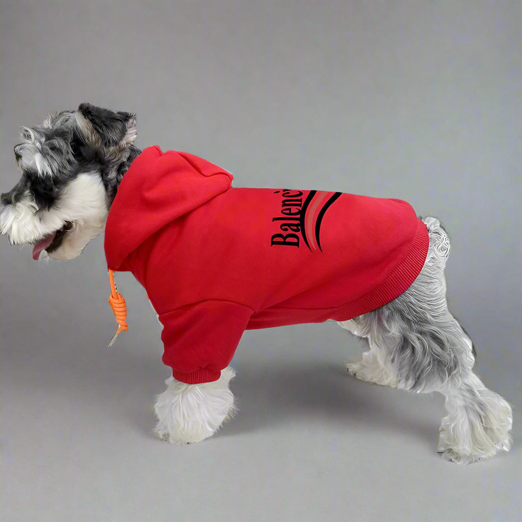 BLC Back Hoodie