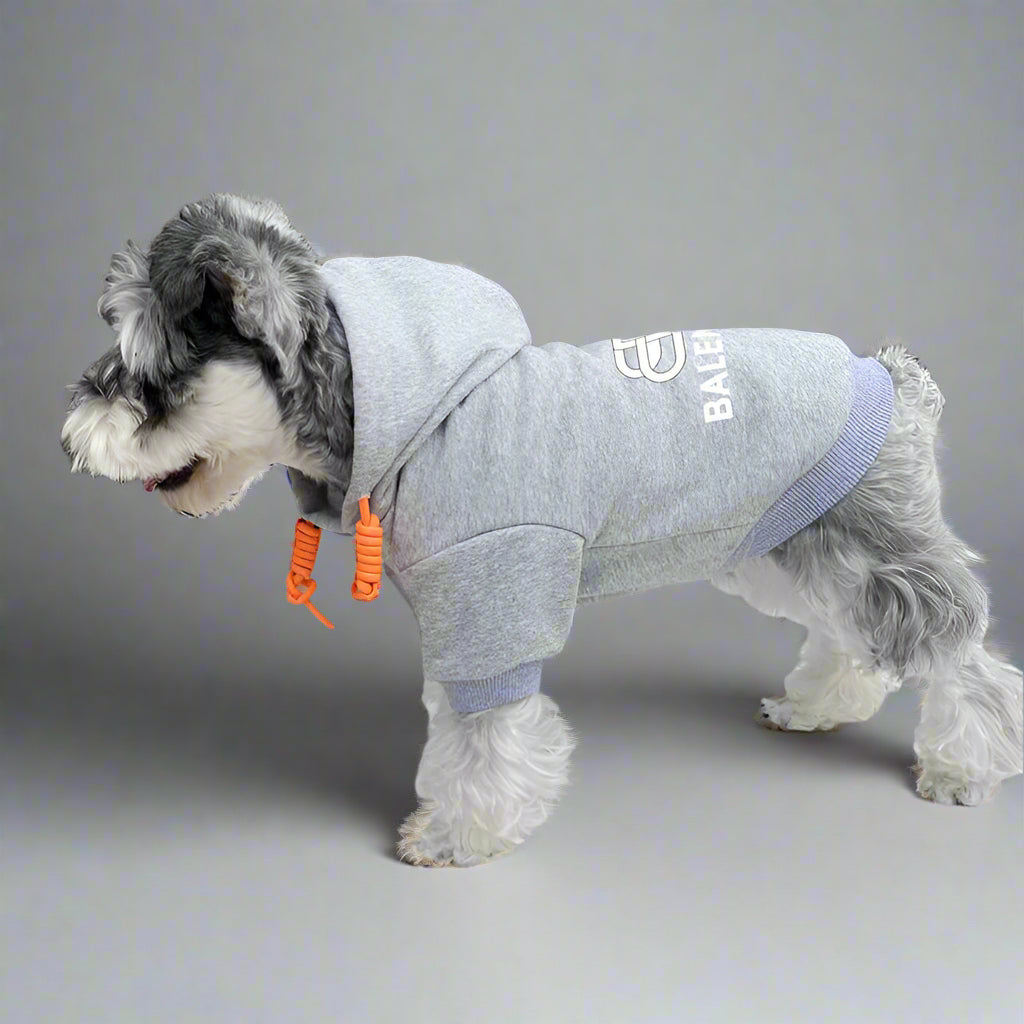 BLC Back Hoodie