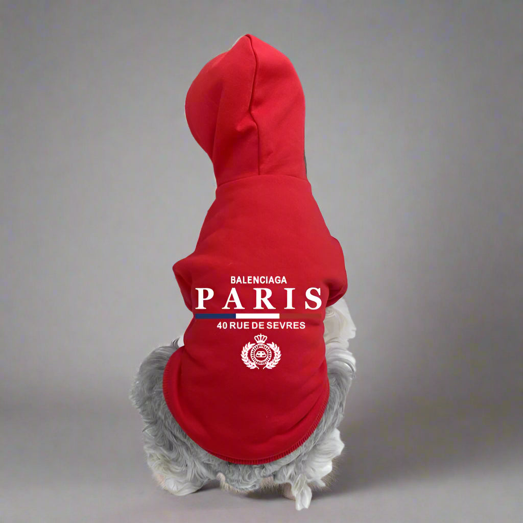 BLC Back Hoodie