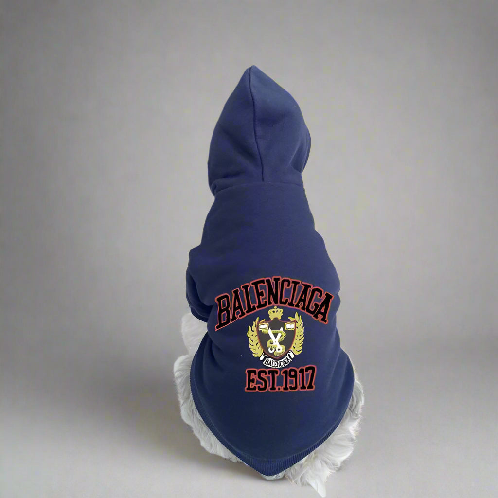 BLC Back Hoodie