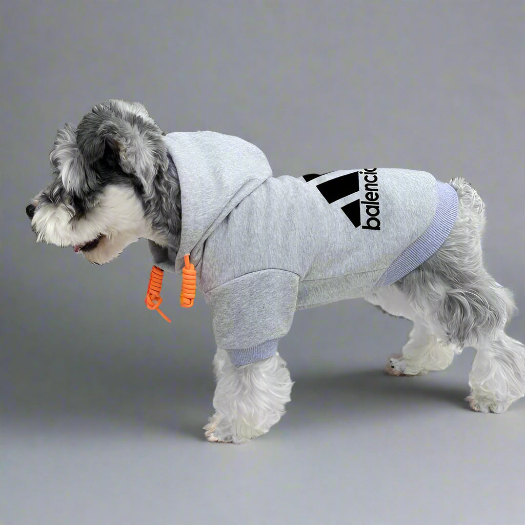 BLC Back Hoodie