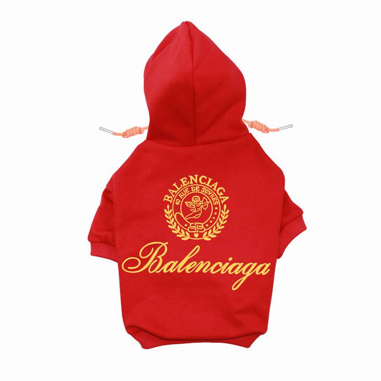 BLC Back Hoodie