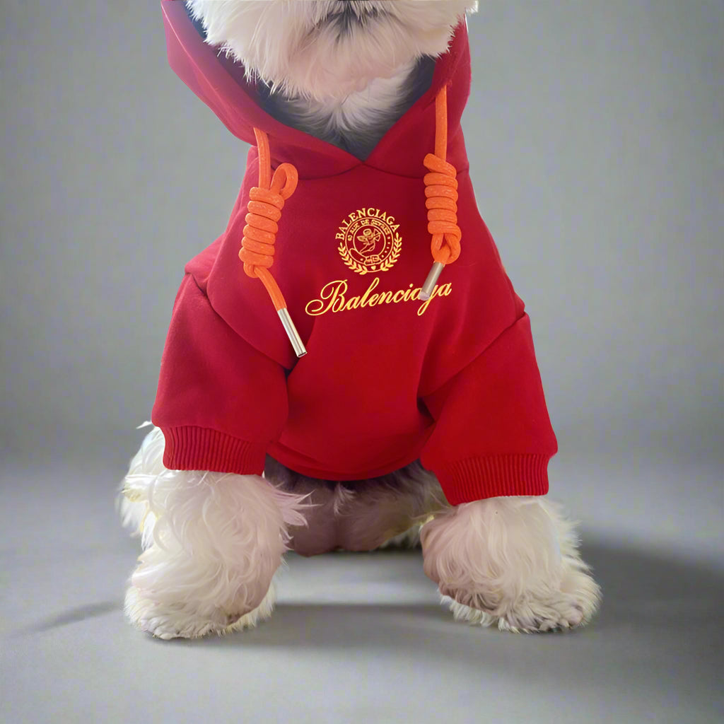 BLC Front Hoodie