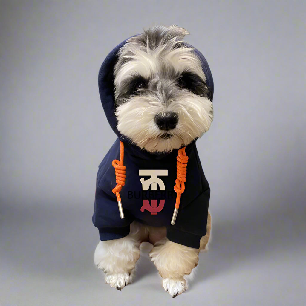 B.B Front Hoodie