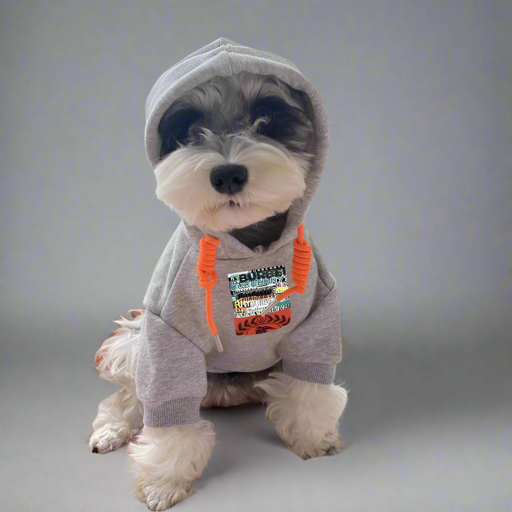 B.B Front Hoodie