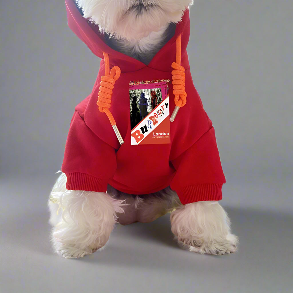 B.B Front Hoodie