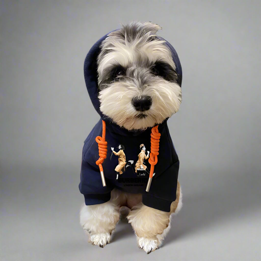 B.B Front Hoodie