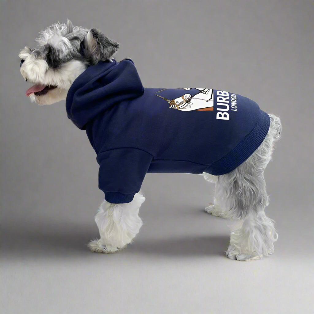 B.B Back Hoodie