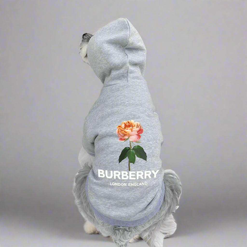 B.B Back Hoodie