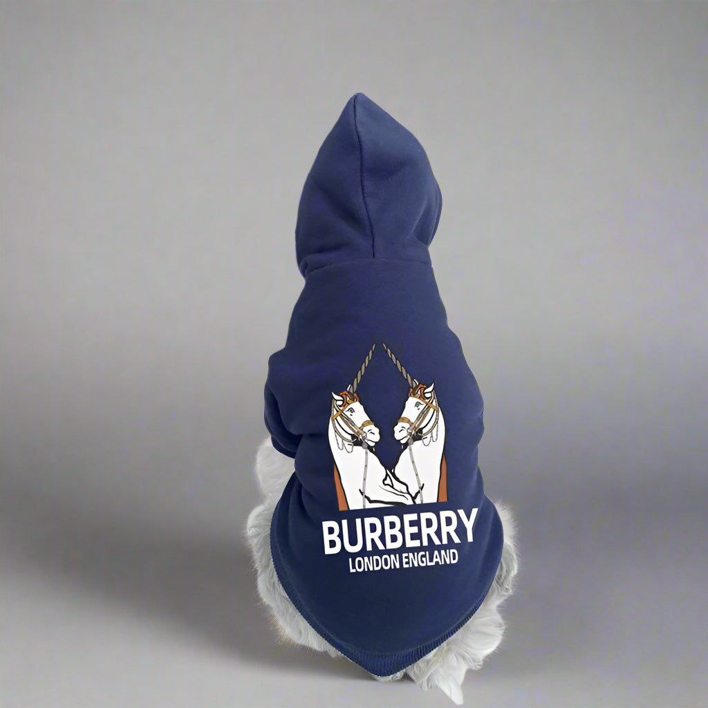B.B Back Hoodie