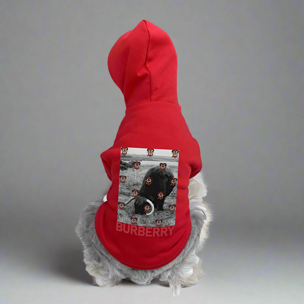 B.B Back Hoodie