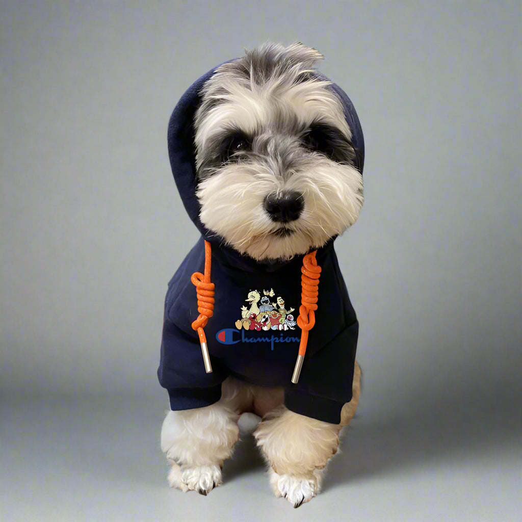 CHAMP Front Hoodie