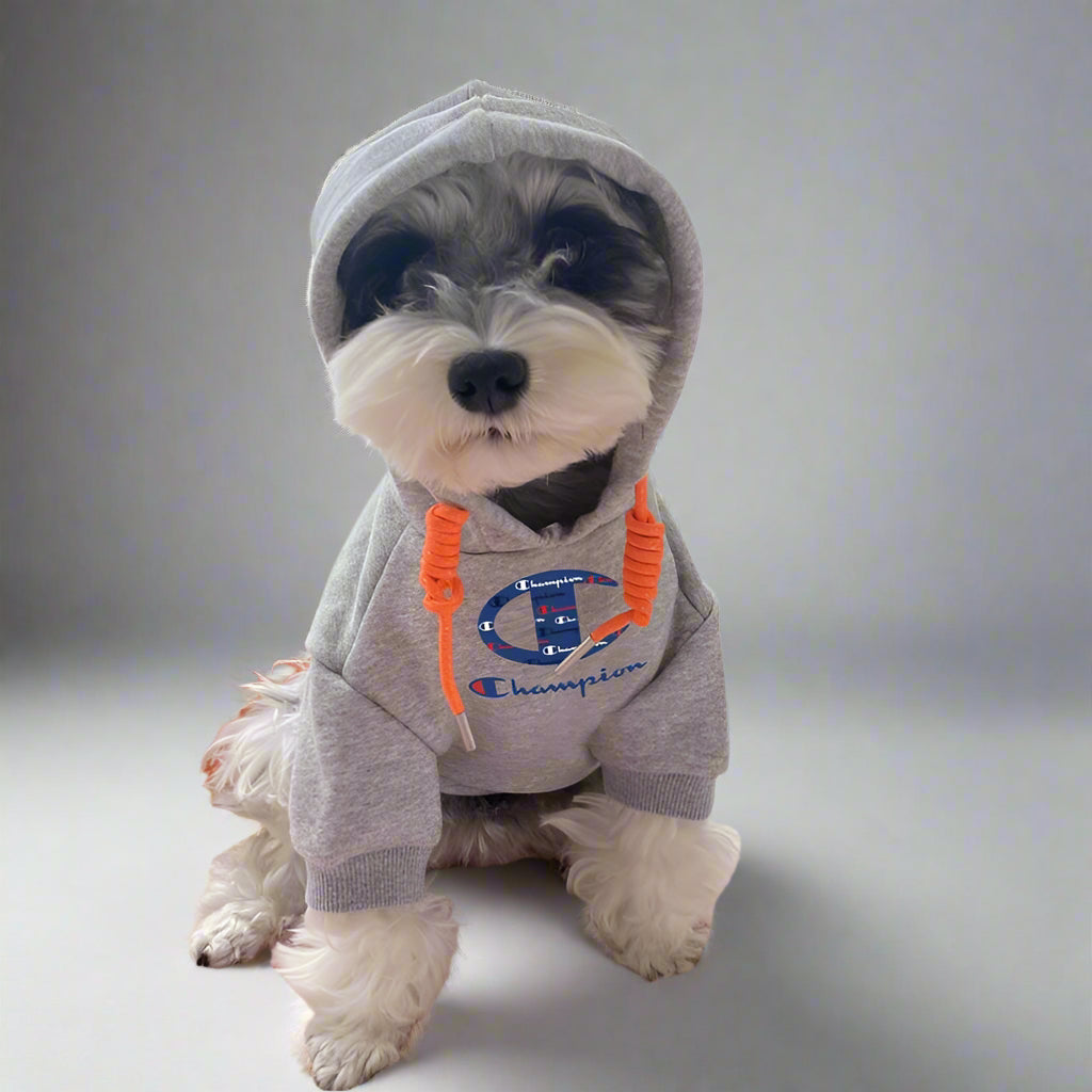 CHAMP Front Hoodie