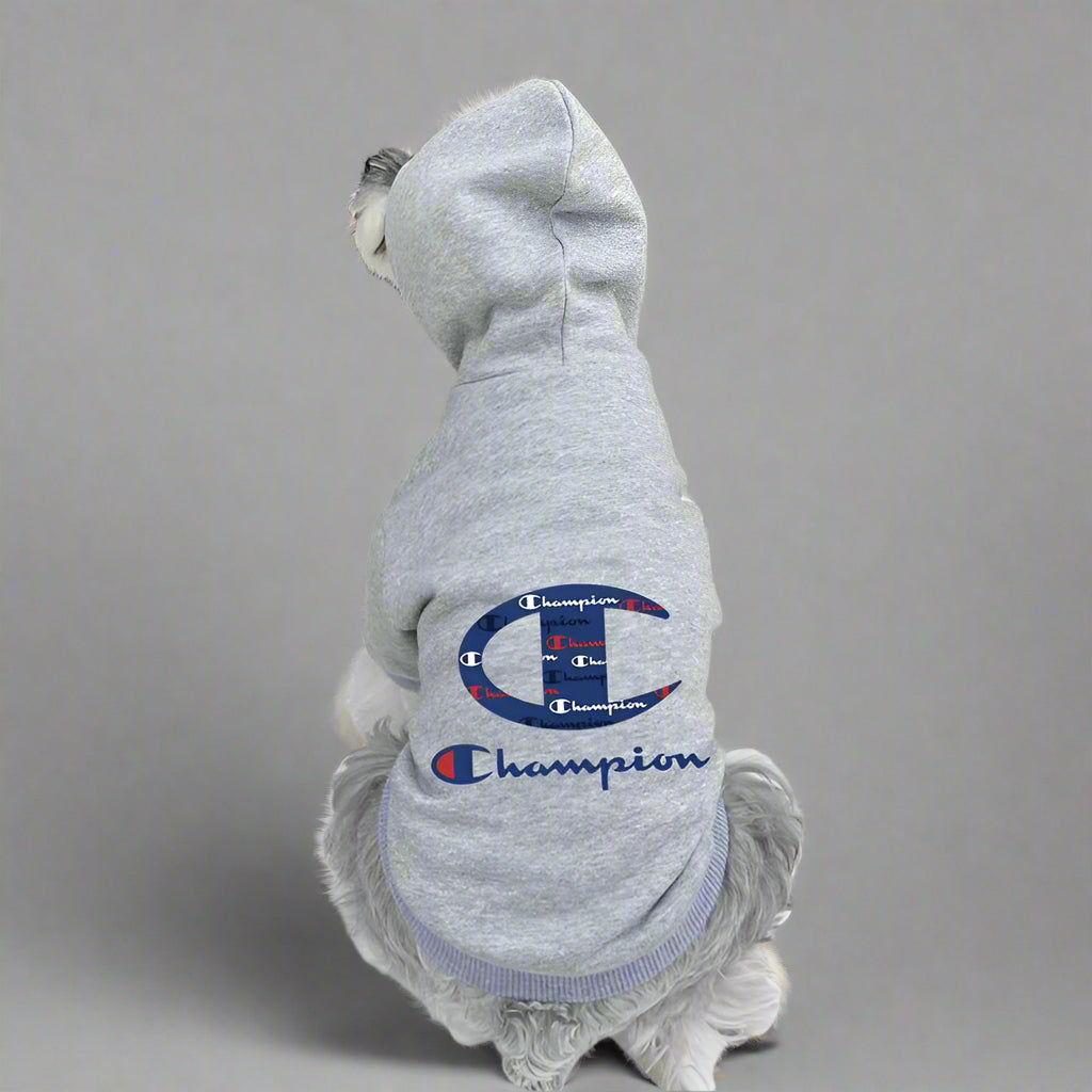 CHAMP Back Hoodie