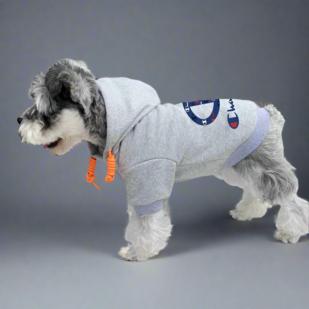 CHAMP Back Hoodie