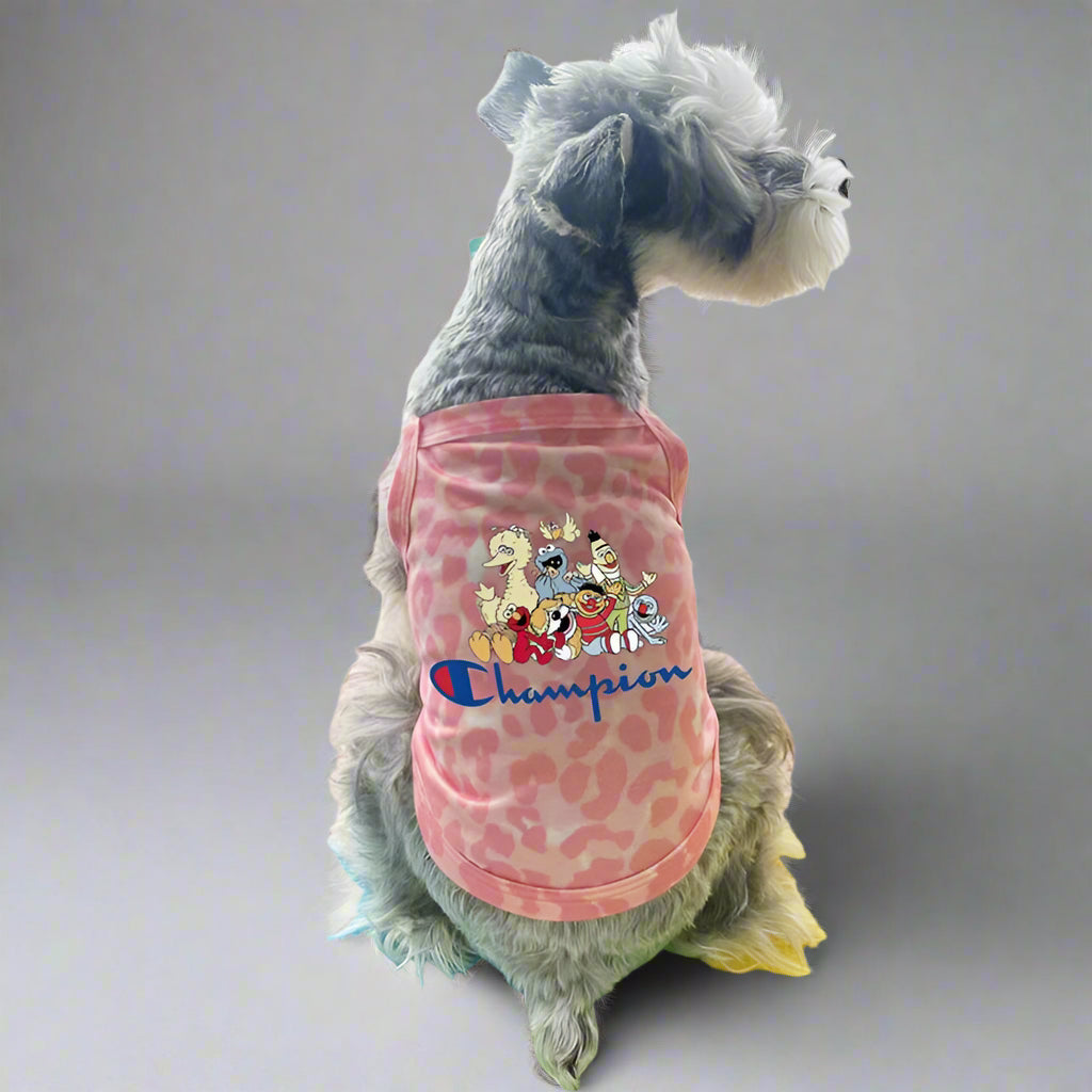 CHAMP Belt